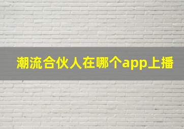 潮流合伙人在哪个app上播