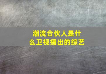 潮流合伙人是什么卫视播出的综艺