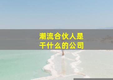 潮流合伙人是干什么的公司