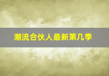 潮流合伙人最新第几季