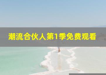 潮流合伙人第1季免费观看