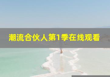 潮流合伙人第1季在线观看