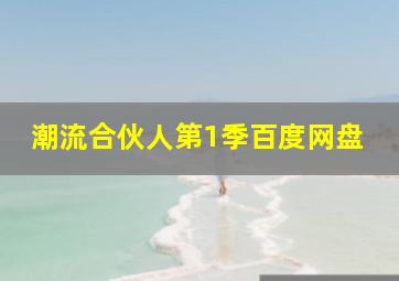 潮流合伙人第1季百度网盘