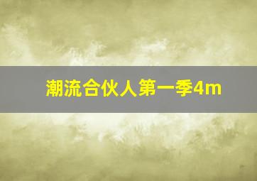 潮流合伙人第一季4m