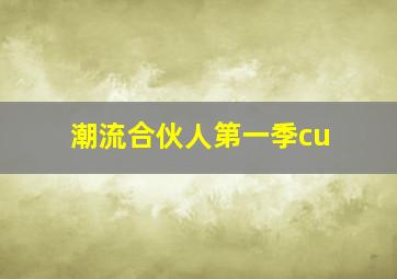 潮流合伙人第一季cu