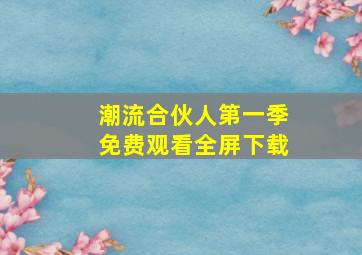 潮流合伙人第一季免费观看全屏下载