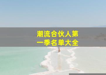 潮流合伙人第一季名单大全