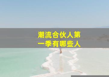 潮流合伙人第一季有哪些人