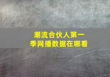 潮流合伙人第一季网播数据在哪看