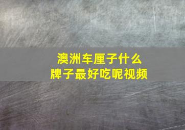 澳洲车厘子什么牌子最好吃呢视频