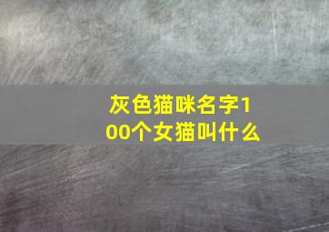 灰色猫咪名字100个女猫叫什么