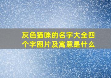 灰色猫咪的名字大全四个字图片及寓意是什么