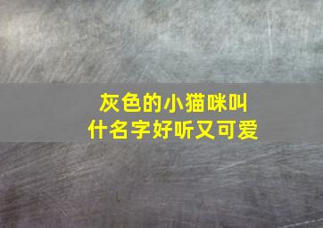 灰色的小猫咪叫什名字好听又可爱