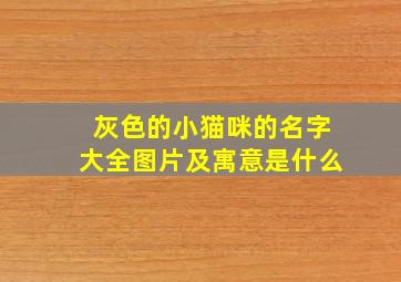 灰色的小猫咪的名字大全图片及寓意是什么