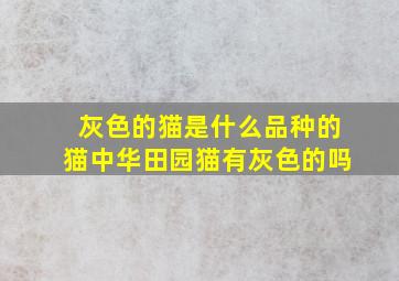 灰色的猫是什么品种的猫中华田园猫有灰色的吗