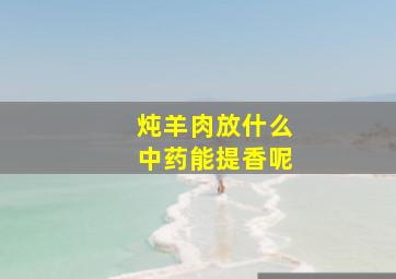 炖羊肉放什么中药能提香呢