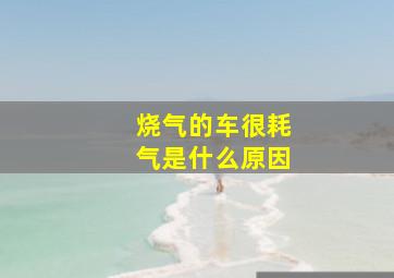 烧气的车很耗气是什么原因