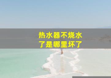 热水器不烧水了是哪里坏了