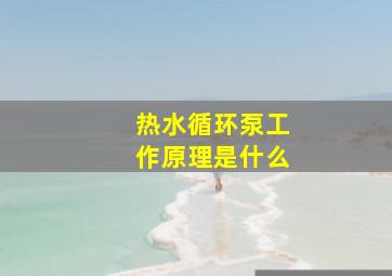 热水循环泵工作原理是什么