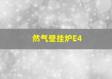 然气壁挂炉E4