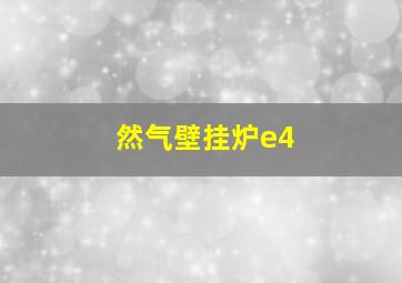 然气壁挂炉e4