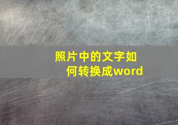 照片中的文字如何转换成word