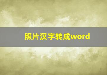 照片汉字转成word