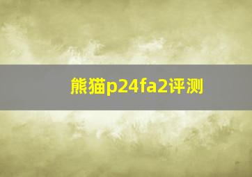 熊猫p24fa2评测