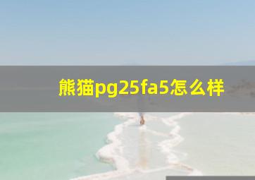 熊猫pg25fa5怎么样