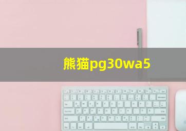 熊猫pg30wa5