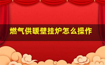 燃气供暖壁挂炉怎么操作