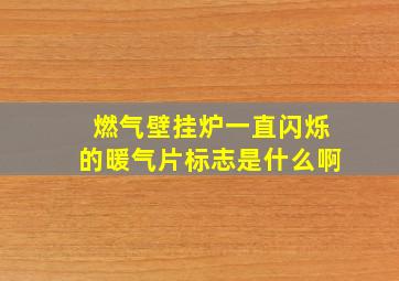 燃气壁挂炉一直闪烁的暖气片标志是什么啊