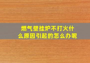 燃气壁挂炉不打火什么原因引起的怎么办呢