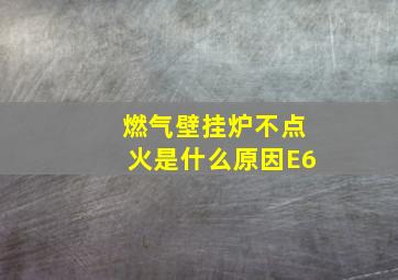 燃气壁挂炉不点火是什么原因E6