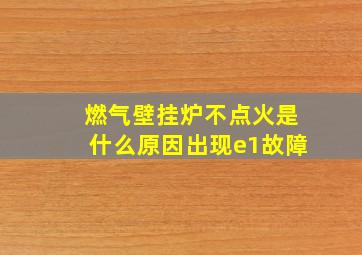 燃气壁挂炉不点火是什么原因出现e1故障