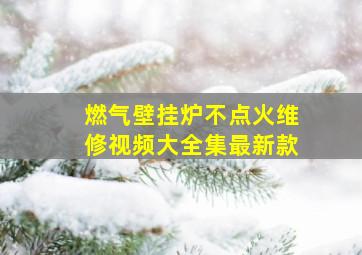 燃气壁挂炉不点火维修视频大全集最新款