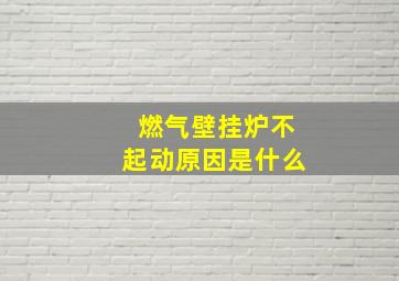 燃气壁挂炉不起动原因是什么