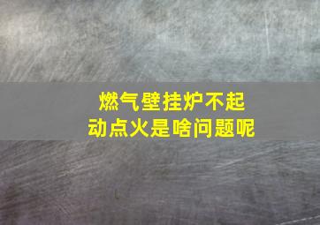 燃气壁挂炉不起动点火是啥问题呢