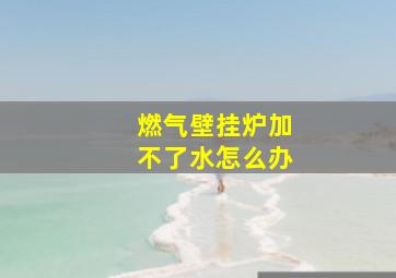 燃气壁挂炉加不了水怎么办