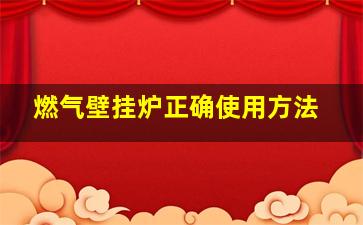 燃气壁挂炉正确使用方法