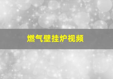 燃气壁挂炉视频