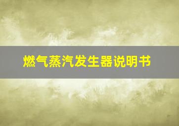 燃气蒸汽发生器说明书