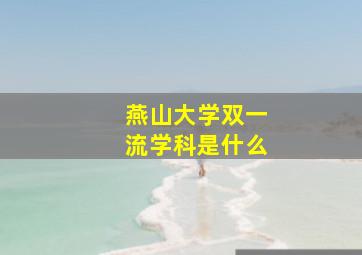 燕山大学双一流学科是什么