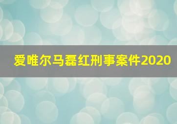 爱唯尔马磊红刑事案件2020