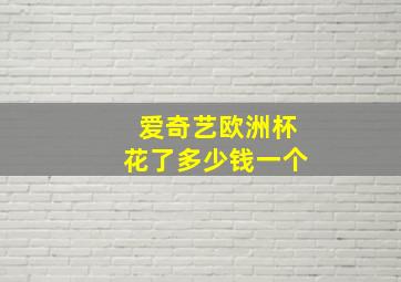 爱奇艺欧洲杯花了多少钱一个