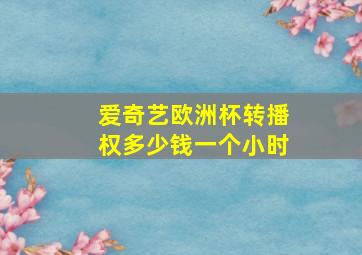 爱奇艺欧洲杯转播权多少钱一个小时