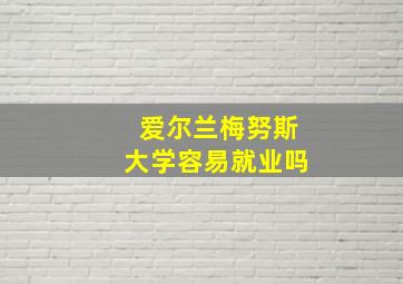 爱尔兰梅努斯大学容易就业吗