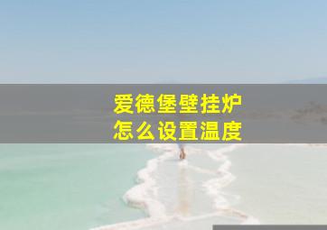 爱德堡壁挂炉怎么设置温度