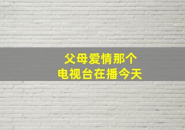 父母爱情那个电视台在播今天