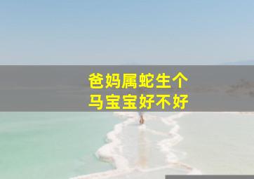 爸妈属蛇生个马宝宝好不好